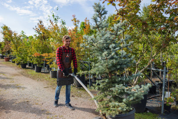 Mulching Services in Fairbury, IL